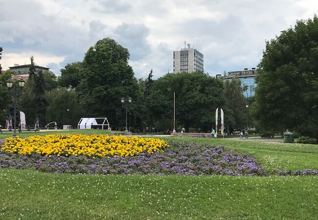 花が綺麗に咲いていて、美しい公園