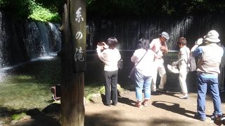 涼しげな滝の流れ