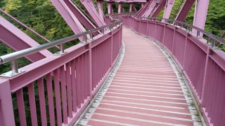 山中温泉の、鶴仙渓遊歩道の途中にある、紫色のくねくねしたあやとり橋