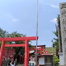 人が多いです。