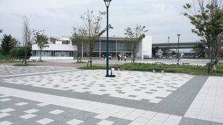 イルカショーマジすごい！