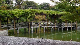 回遊式庭園を係の人と1周回ります。１０月中旬ですが一部紅葉をしていました。