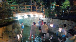 北野天満宮の８月「御手洗川足つけ燈明神事」と「御本殿石の間通り抜け神事」＋「夜のお土居のライトアップ」