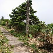 天気が良ければ