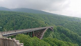 大自然の中の橋