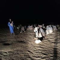 3：30にホテルを出て砂漠に行くとまだ暗い