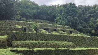 独特の雰囲気です