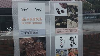 ランチは良かったです