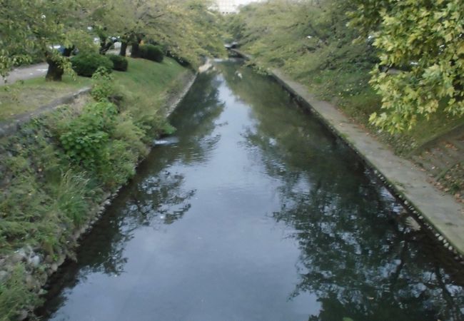 富山県庁の近くも通ります