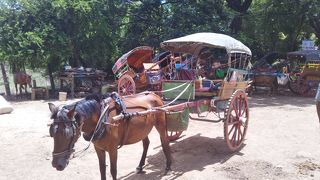 令和に馬車でパカパカ揺られてインワをのんびり巡る。日本の色白な若いおねいさんと船着き場で再会した。