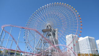 朝から夜まで楽しめます