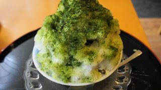 アボカド料理専門店forza クチコミ アクセス 営業時間 名古屋 フォートラベル アボカド料理専門店forza クチコミ アクセス 営業時間 名古屋 フォートラベル