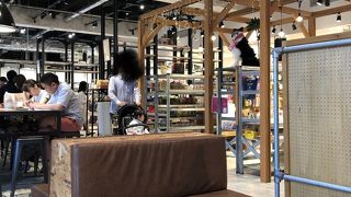 タヌキベーグルを売っています