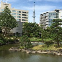 スカイツリーが見えます