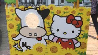 残念ながら「ひまわり」は咲いていませんでした