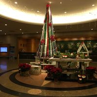 12月だったので入るとクリスマスツリーがあった。