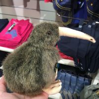 おみやげコーナーは普通に充実していて、こんなのもあります