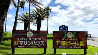 千葉でジンギスカン