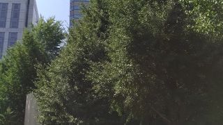 都会にある緑あふれる公園