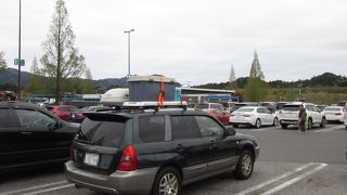 上下線共用のSA　各方面のお土産が充実してます