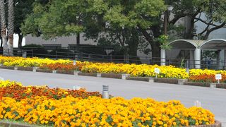 散歩にオススメ