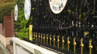 外観が見られなかったのが残念