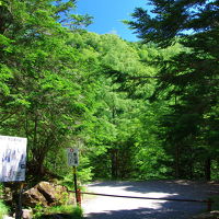 登山口、この近くの駐車場に車をおく