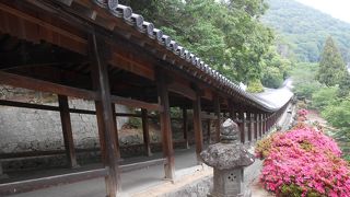 吉備津神社の360ｍ続く回廊、他では見られません、素晴らしいです