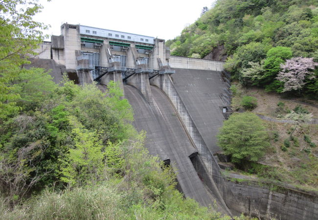 大野ダムは由良川の治水を司っています