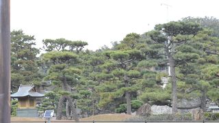 日本らしい雰囲気