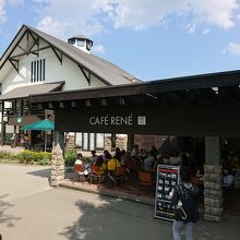 お店からもラベンダー畑が見渡せる