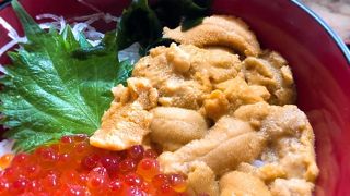 積丹のウニ丼