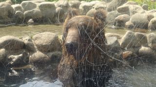 ガラスが傷だらけ