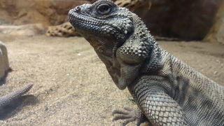 けっこう充実していました。