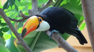 ちょっと数がすくないかな