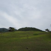 近くの万葉公園