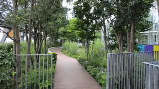 魚の泳ぐ大きな屋外水槽があります