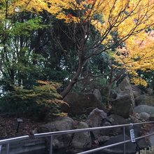 去年の秋に行った時の足湯