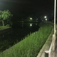 夜の泉翠池