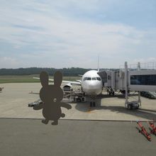 乗ってきた飛行機をまめうさと共に