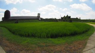 自然を満喫でき、ゆっくり過ごせます