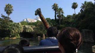 久々に乗ったら、やっぱり楽しかった☆