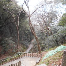 石清水八幡宮裏参道