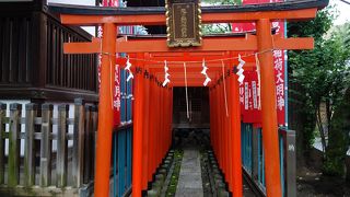 赤い鳥居が並ぶ存在感ある神社
