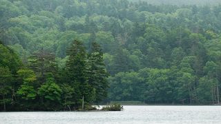 山の中にひっそりとたたずむ神秘的な湖