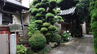 手入れされたお庭の緑が清々しかったです