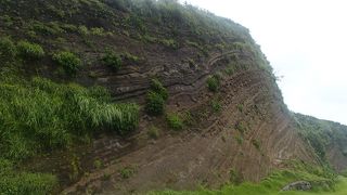 まさにバームクーヘン