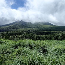 途中から見えた山頂