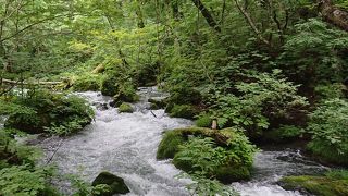 美しい緑ときれいな川