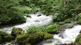 阿修羅の流れの近くに